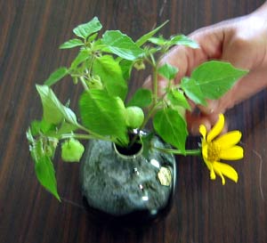 image/021012-204054-aIMG_0197.jpg