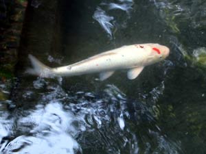 image/021013-141037-aIMG_0232.jpg