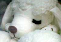 image/021014-211706-adscf0019.jpg