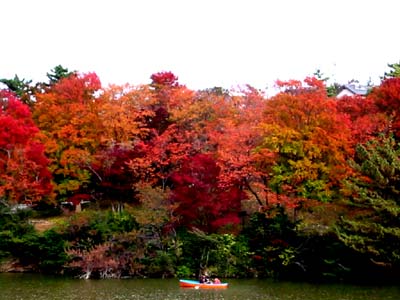 ϸιդϤФ餷