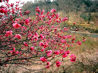 image/030316-233805-aIMG_6120.jpg