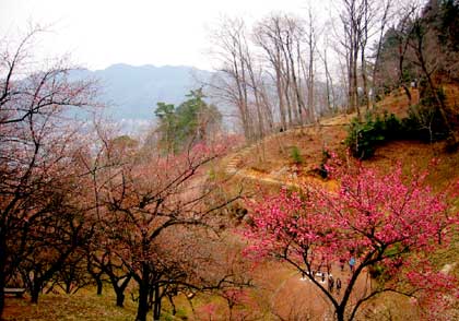 image/030316-233818-aIMG_6114.jpg