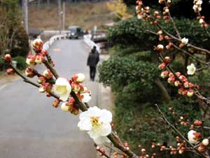 image/030316-233830-aIMG_6166.jpg