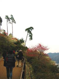 image/030317-233519-aIMG_6084.jpg