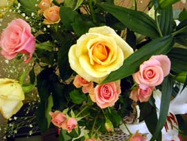 image/030405-222452-aIMG_7002.jpg