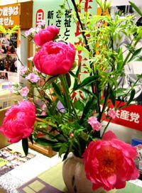 image/030408-193143-aaIMG_7138.jpg