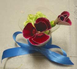 image/030430-203141-aIMG_8198.jpg