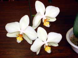 image/030502-222540-aIMG_8327.jpg