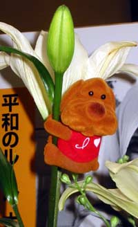 image/030502-223337-aIMG_8317.jpg