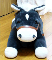image/030612-195629-asai-09.gif