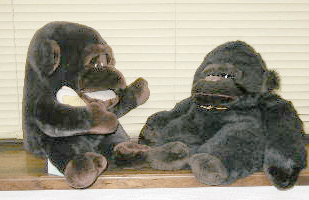 image/030620-155719-aDC0017.gif