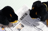 image/030702-212442-asai0619-04.gif