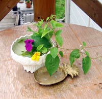 image/030706-005346-aIMG_9610.jpg