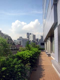 image/030917-211750-aIMG_1505.jpg