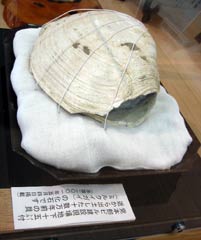 image/030917-211751-aIMG_1513.jpg