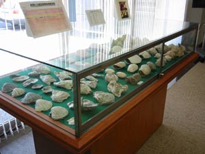 image/030917-211751-aIMG_1520.jpg
