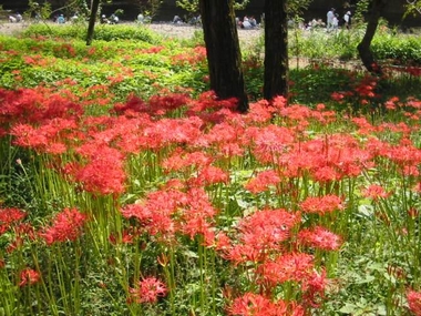 image/030929-001100-aabcde.jpg