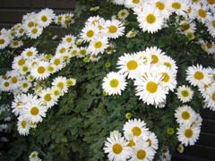 image/031115-010102-aIMG_3080.jpg