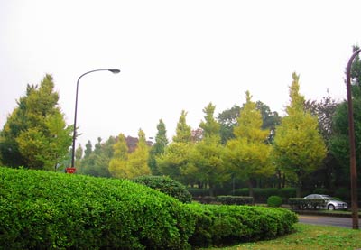 image/031120-211735-aIMG_3204.jpg