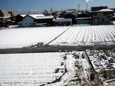 image/031221-225132-aIMG_3911.jpg