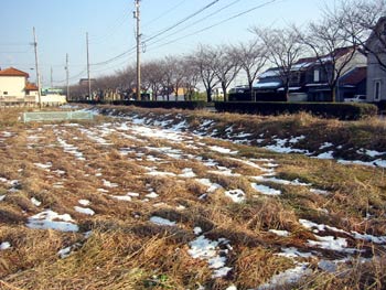 image/031223-215113-aIMG_3943.jpg