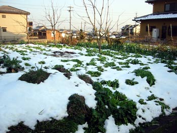 image/031223-215114-aIMG_3946.jpg