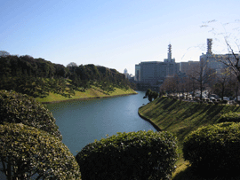 image/040115-190040-aIMG_4124.gif