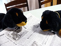 image/040115-205534-040115-190158-asai0619-05.gif