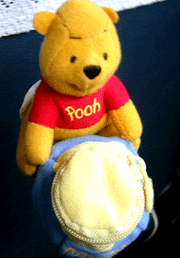 image/040209-213702-aIMG_9073.gif