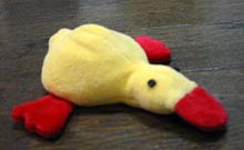 image/040229-184444-a100-0080_IMG.jpg