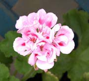 image/040929-165601-aDSC_6502.jpg