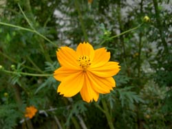 image/041002-002725-aPICT1742.jpg