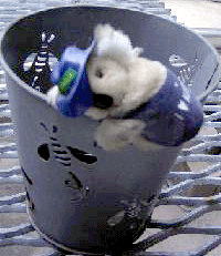 image/060208-193802-koara.gif